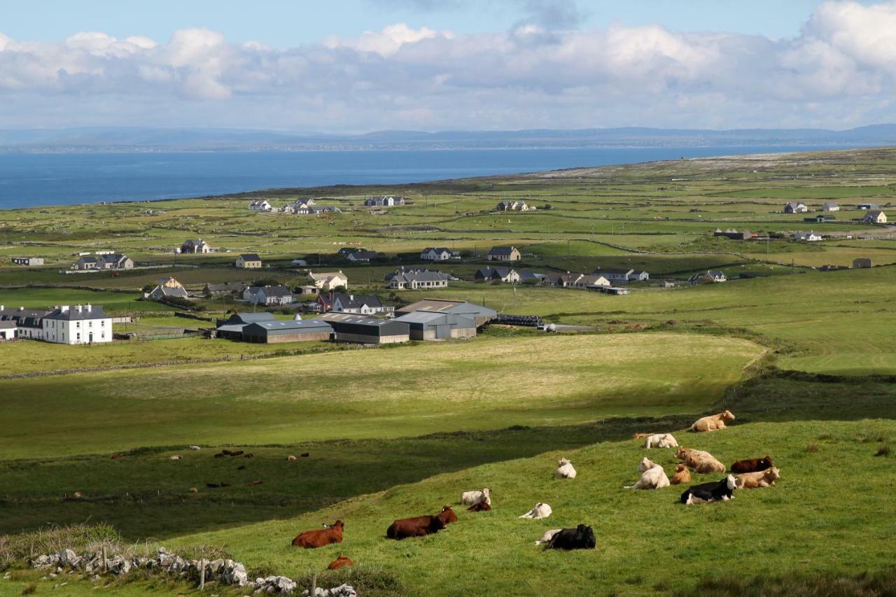 Atlantic Rose Cottage Doolin Kültér fotó